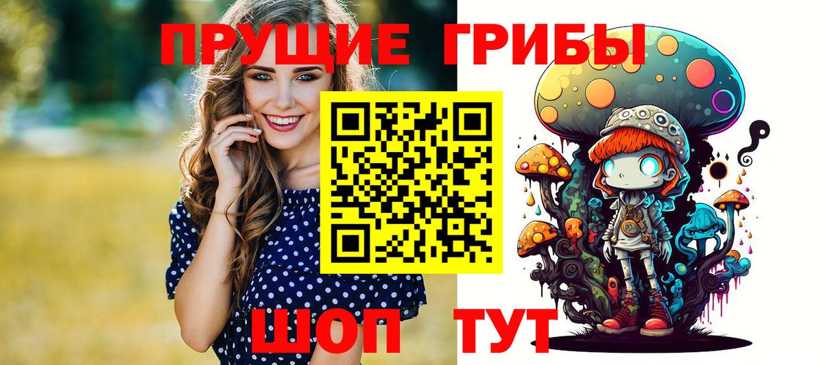 Галлюциногенные грибы Psilocybine cubensis  Галлюциногенные грибы мицелий  Сокол  Вход с VPN 