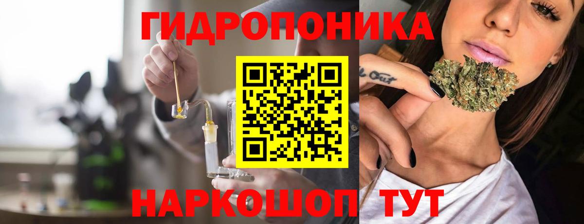 МАРИХУАНА план  Конопля индика  Каннабис White Widow  Сокол  Вход с VPN 